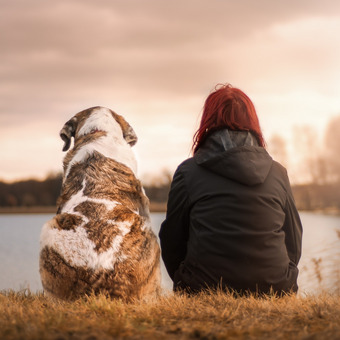 Mein Hund und ich